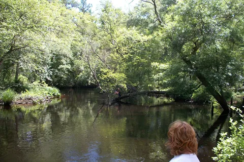 Winding River Campground