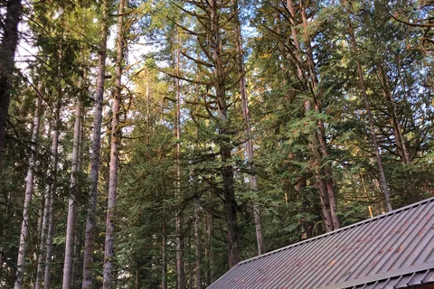 Rasar State Park