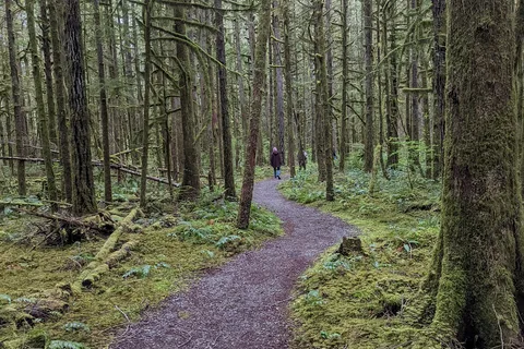 Rasar State Park