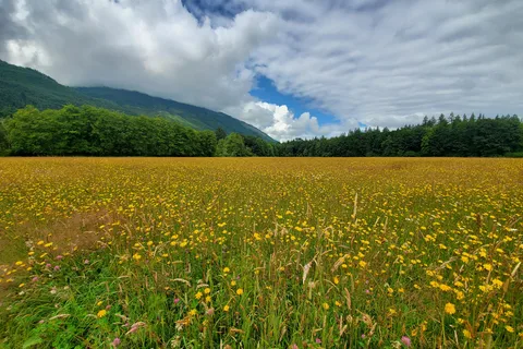 Rasar State Park