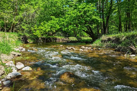 Dolliver Memorial State Park