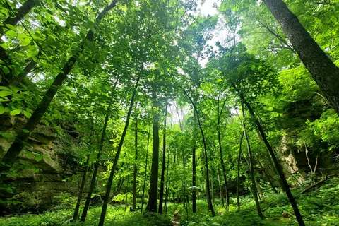 Dolliver Memorial State Park