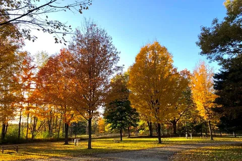 Countryside Campground and Cabins