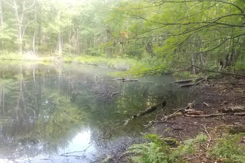 Twin Lakes State Park