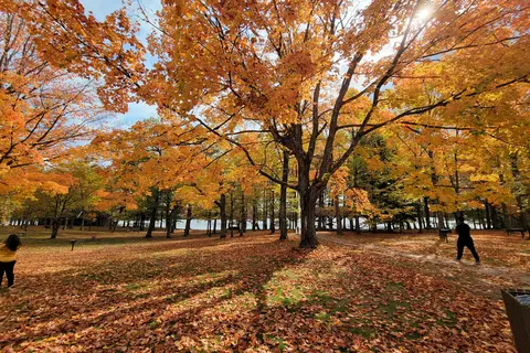 Twin Lakes State Park
