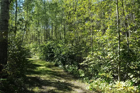Garner Lake Provincial Park