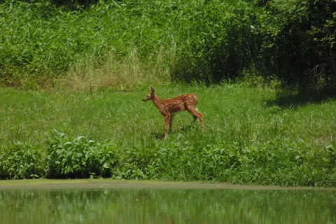 Drakes Ridge Rustic Nudist Retreat