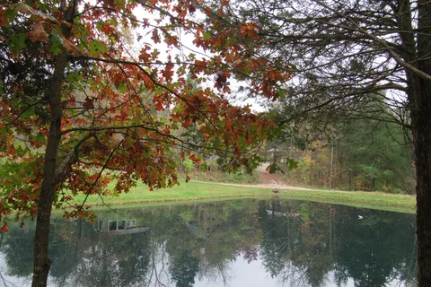 Drakes Ridge Rustic Nudist Retreat