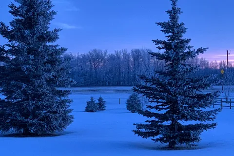 Fawn Meadows Lodge, Cabins and Year Round RV Park