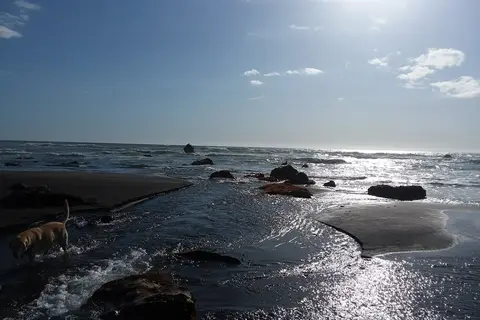 Westport Beach RV Park and Campground
