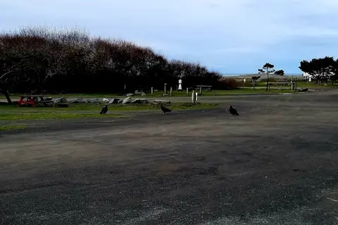 Westport Beach RV Park and Campground