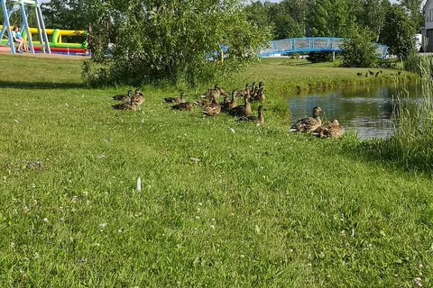 South Mountain Park Campground And RV Resort