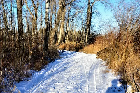 Good Spirit Lake Provincial Park