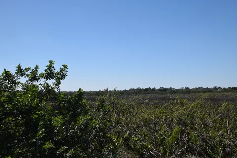 Myakka River RV Resort