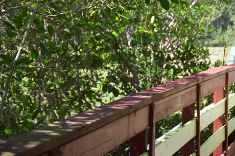 Myakka River RV Resort