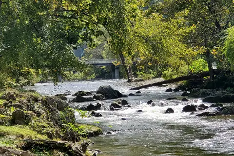 Camp Riverslanding