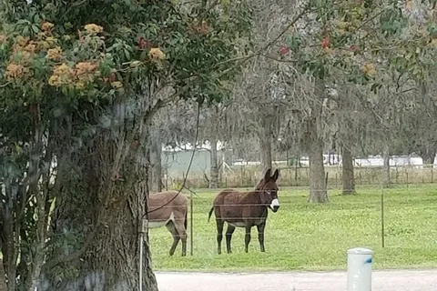 Shiloh RV Park