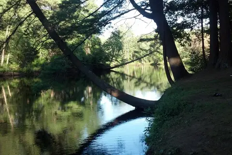 Lake George Riverview Campground