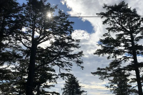 Waldport / Newport KOA Journey