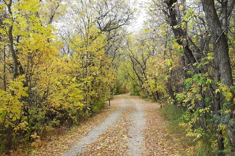 Crooked Lake Provincial Park