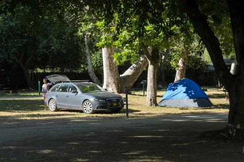 Sequoia Campground and Lodge