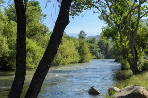 Sequoia Campground and Lodge