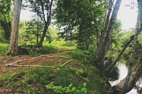 Riverbend Wilderness Camping