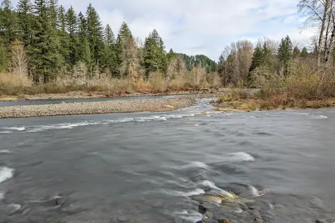 Tillamook State Forest - Jones Creek
