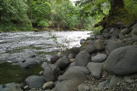 Tillamook State Forest - Jones Creek