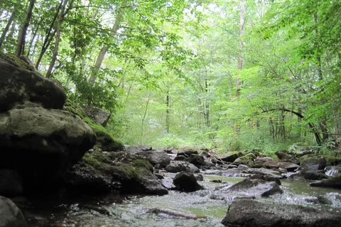 Adventure Bound Camping Resorts - Oak Creek