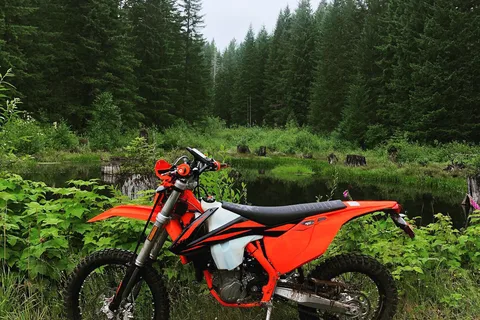 Tillamook State Forest - Browns OHV Camp