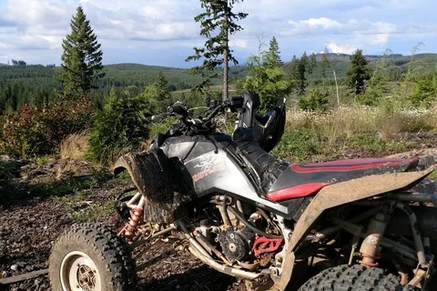 Tillamook State Forest - Browns OHV Camp