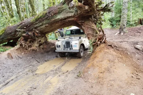 Tillamook State Forest - Browns OHV Camp