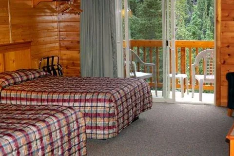Denali Grizzly Bear Resort