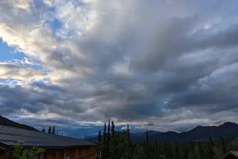 Denali Grizzly Bear Resort