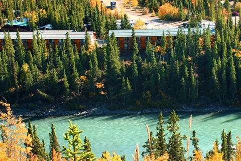 Denali Grizzly Bear Resort