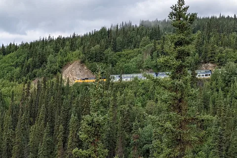 Denali Grizzly Bear Resort