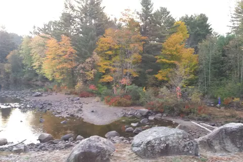 Riverside Pines Campsites and Cabins