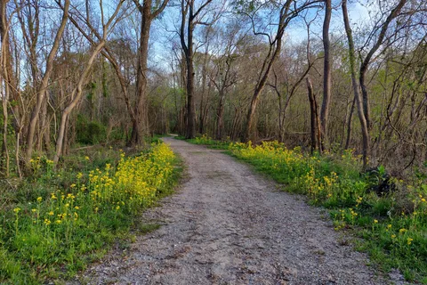 Le Fleurs Bluff State Park