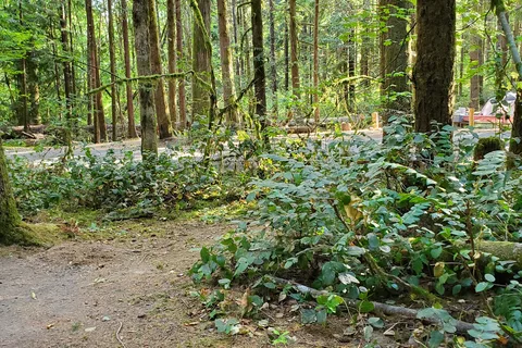 Lewis and Clark State Park