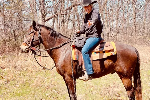 Huckleberry Stables