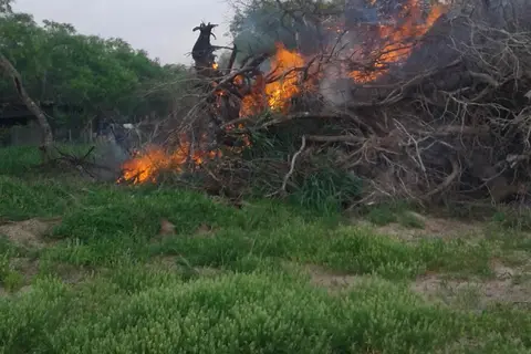Rivera Beach Trailer Park