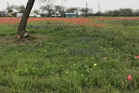 Rivera Beach Trailer Park