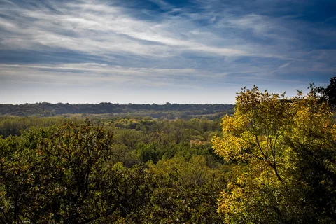 Semi-Modern - Flandrau State Park