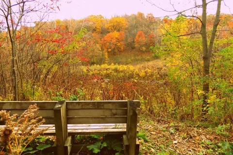 Semi-Modern - Flandrau State Park