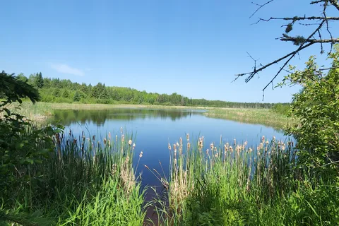 Moose Lake State Park