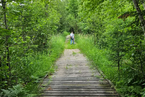 Moose Lake State Park