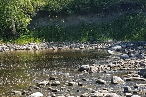 Great Woods Park