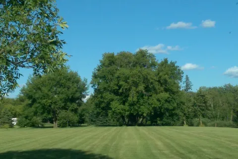 Great Woods Park