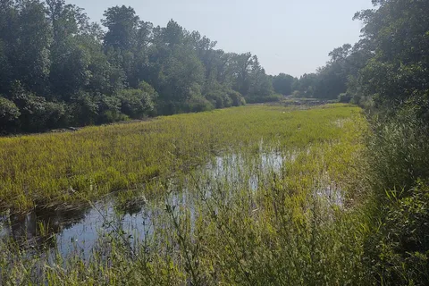 Great Woods Park